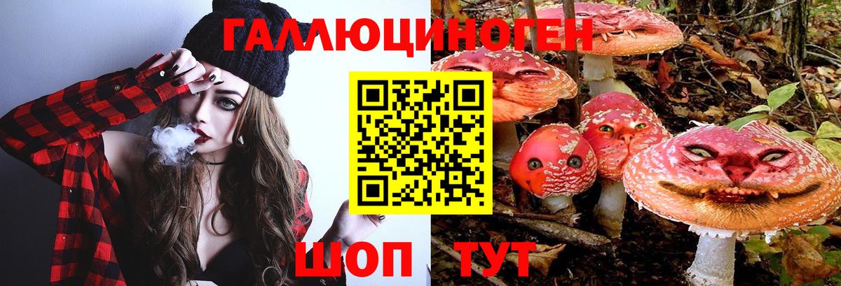 Галлюциногенные грибы GOLDEN TEACHER  Вход с VPN  Назрань 