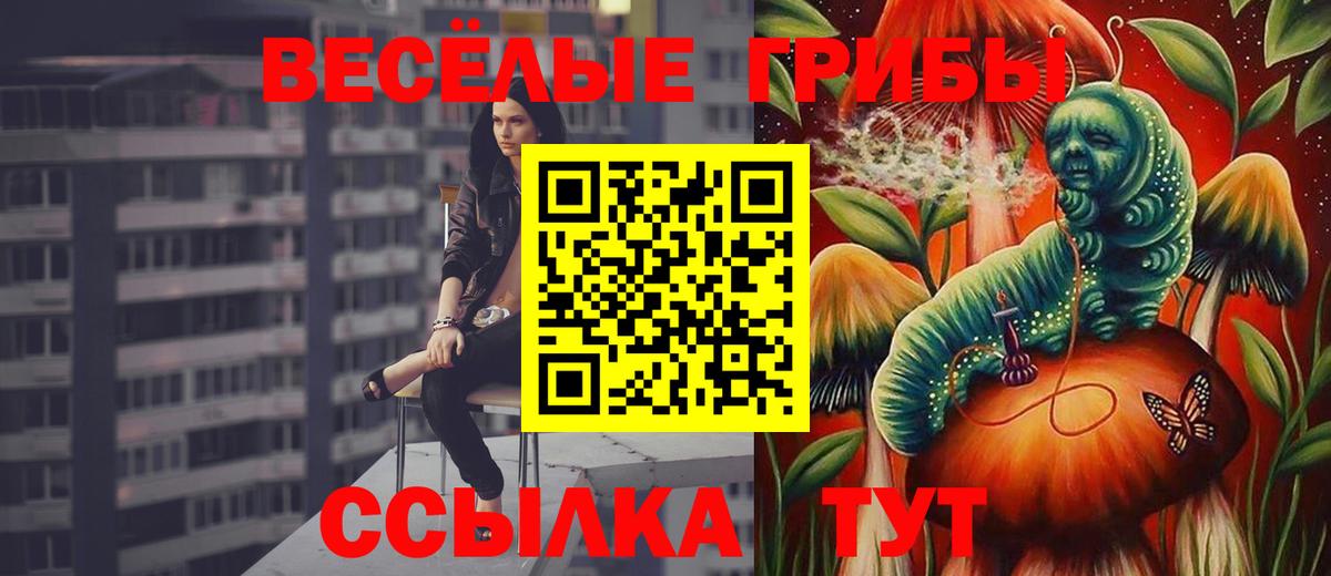 Псилоцибиновые грибы Psilocybe Назрань