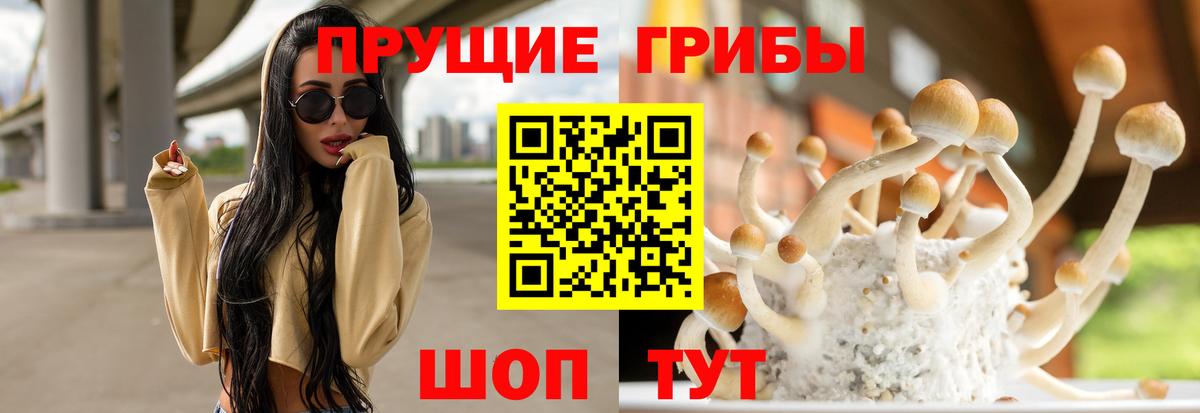 Гашиш Назрань